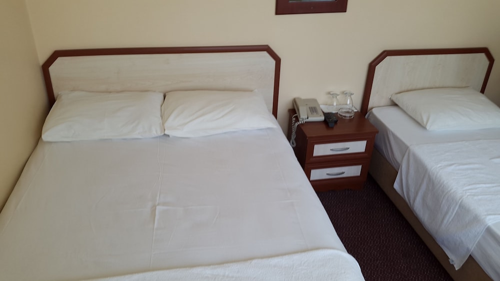 Standard Double or Twin Room photo 1