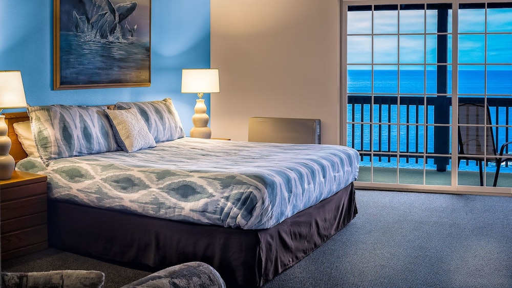 Room, 1 King Bed photo 1