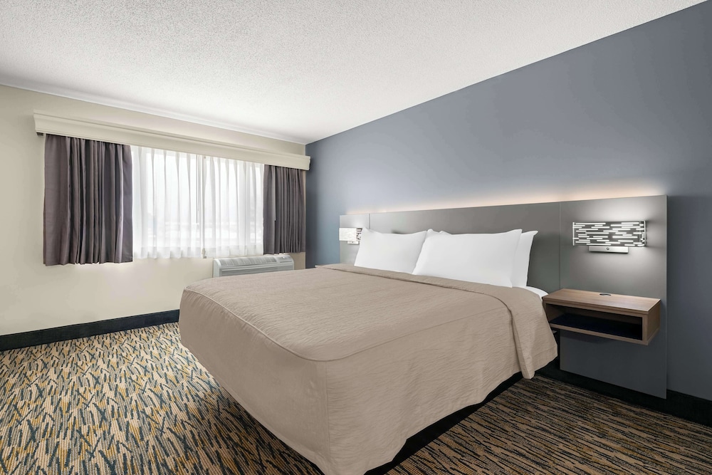 Standard Room, 1 King Bed, Non Smoking, Refrigerator & Microwave (Larger Room) photo 1