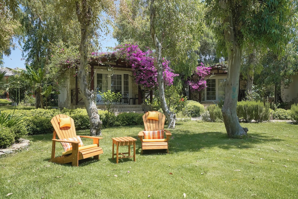 Exclusive Bungalow photo 3