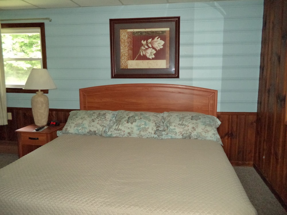 Studio Suite, 1 King Bed with Sofa bed photo 2