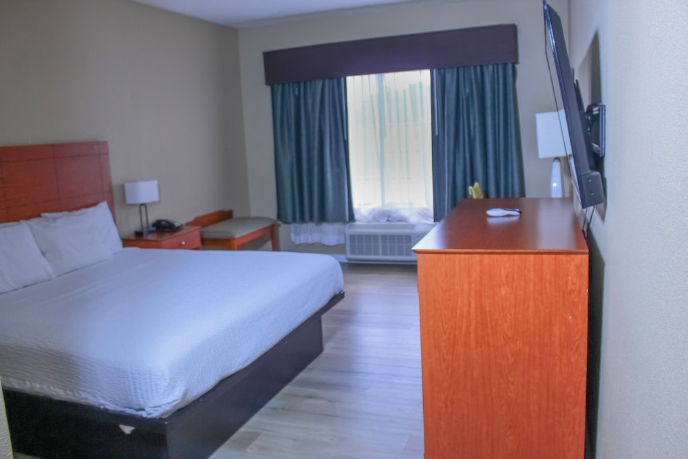 Suite, 1 King Bed, Non Smoking - Photo 1