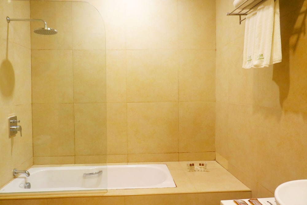 Deluxe Suite photo 2