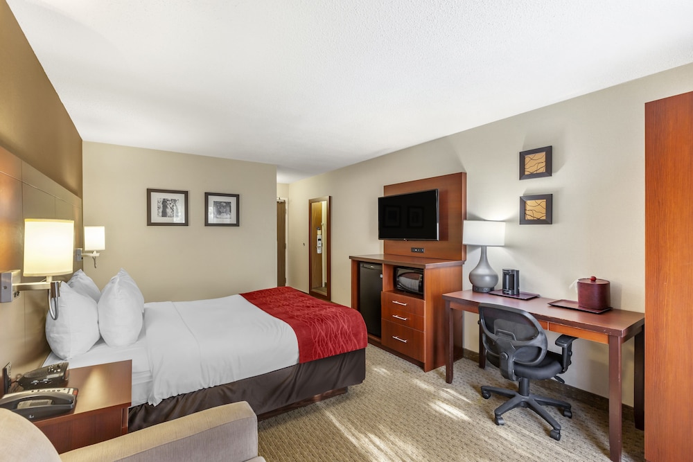 Standard Room, 1 Queen Bed with Sofa bed - Photo 3
