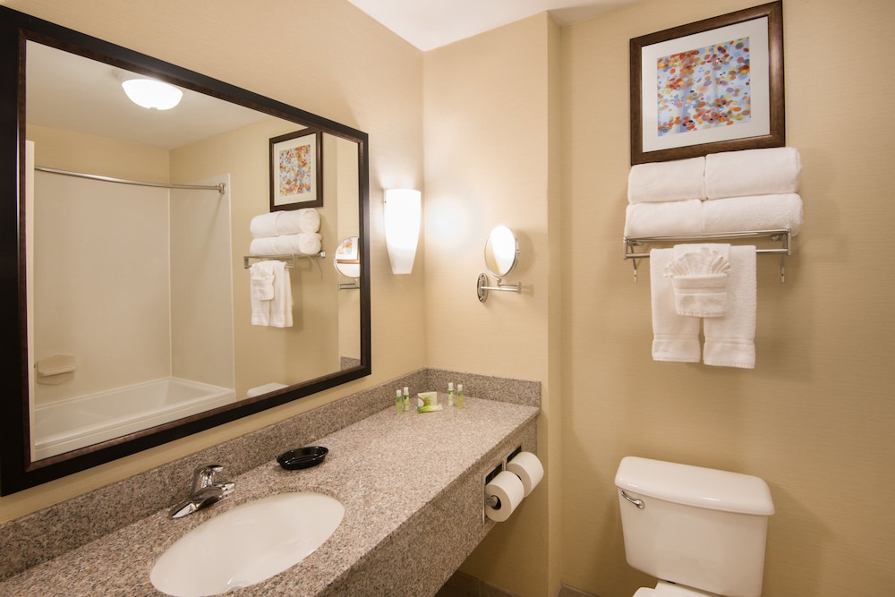 Suite, 1 King Bed (Additional Living Area) photo 2