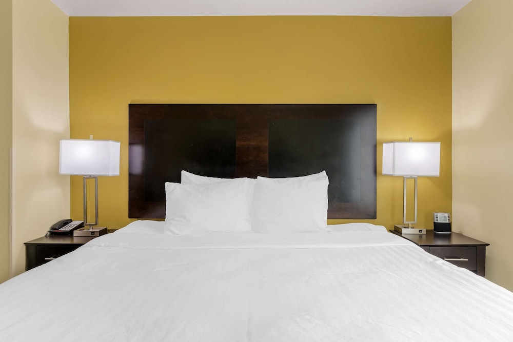Suite, 1 King Bed, Non Smoking, Refrigerator & Microwave - Photo 3