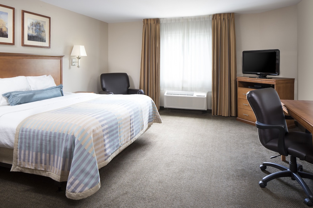 Studio Suite - Photo 2