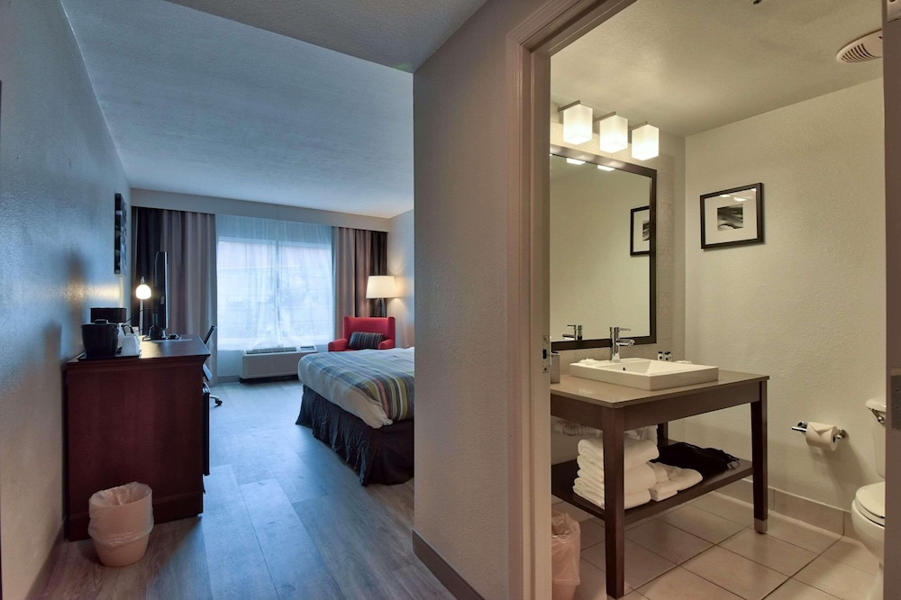 Room, 1 King Bed, Non Smoking - Photo 1