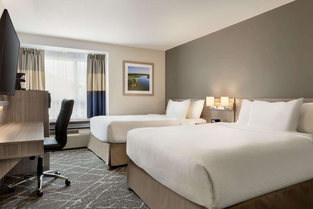 Business Suite, 2 Queen Beds, Fridge, Microwave, Non Smoking photo 3