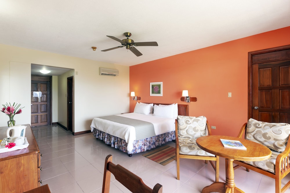 Deluxe Room, 1 King Bed, Garden View - Photo 3