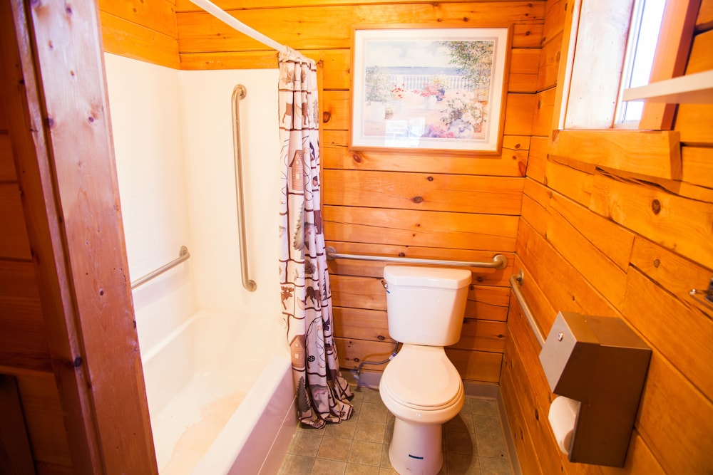 Cabin, 1 King Bed, Accessible photo 3