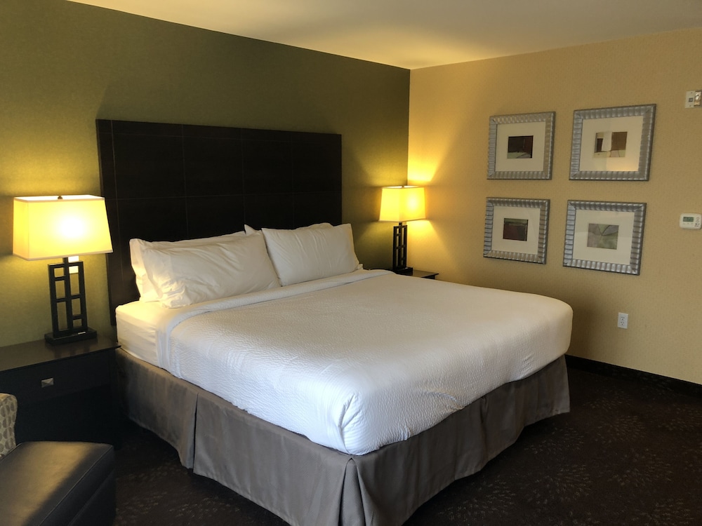 Standard Room, 1 King Bed, Accessible (Communications, Extra Floor Space) - Photo 6