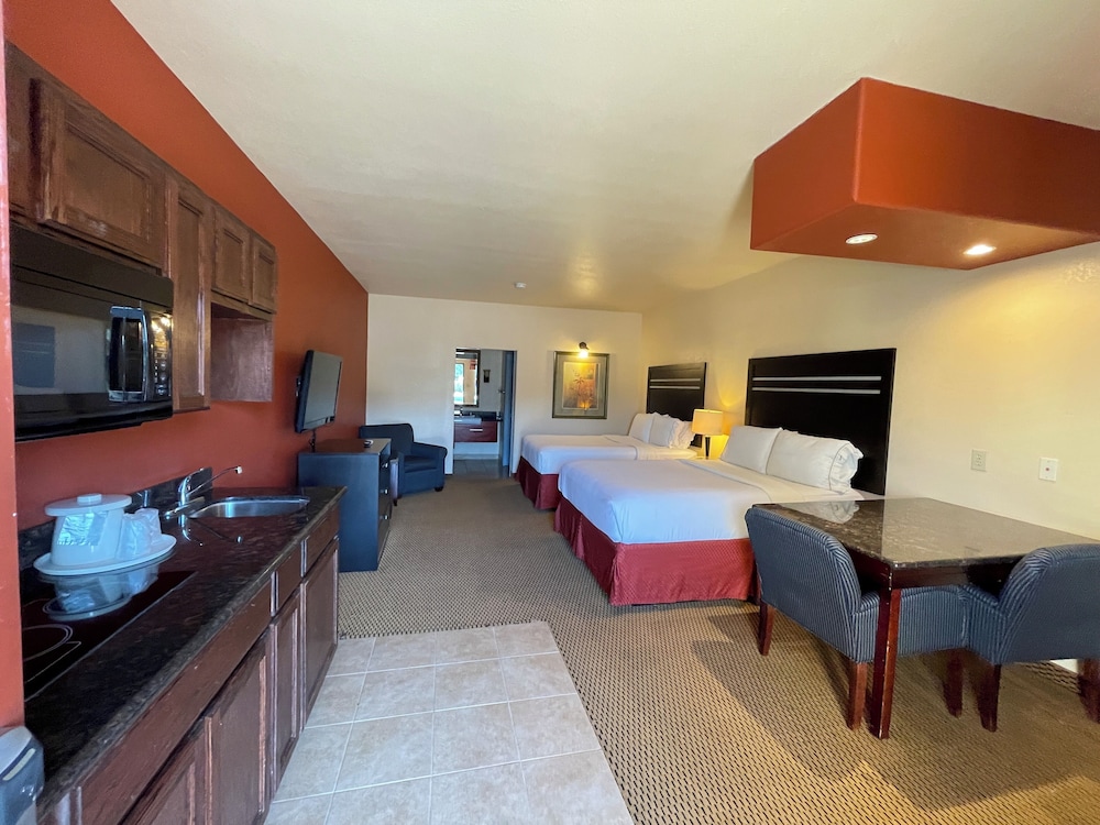 Comfort Studio Suite, Multiple Beds photo 1