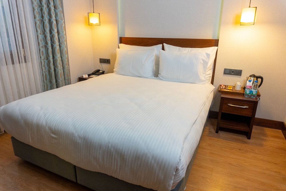 Deluxe Double or Twin Room photo 1