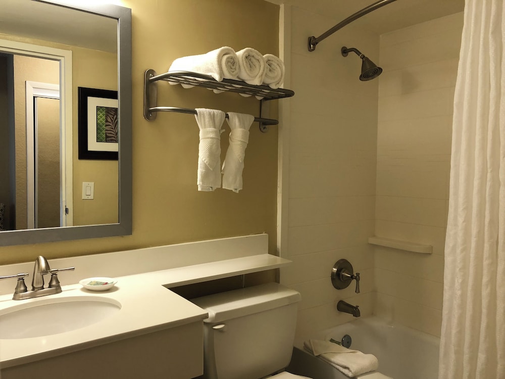 Deluxe Double Room - Photo 7