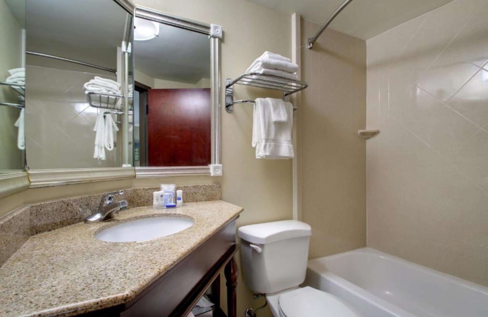 Standard Room, 1 King Bed, Non Smoking, Refrigerator & Microwave - Photo 5