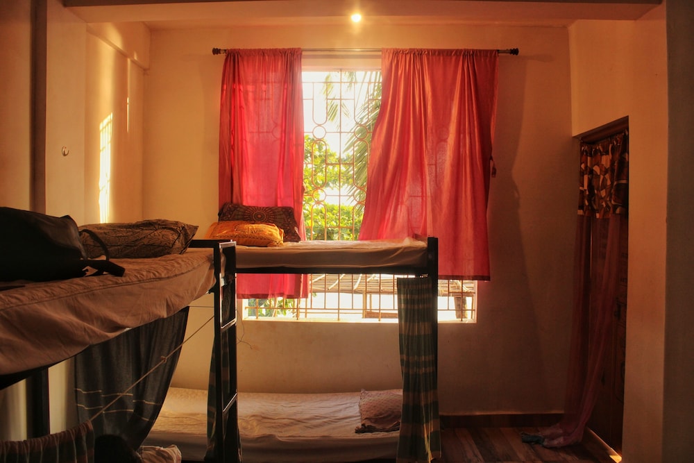 Standard Shared Dormitory photo 3