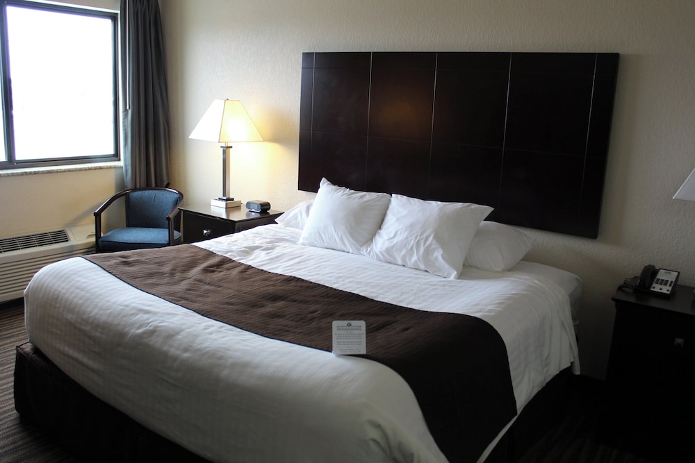 Room, 1 King Bed, Non Smoking photo 2