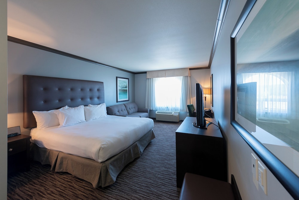 Superior Room, 1 King Bed with Sofa bed