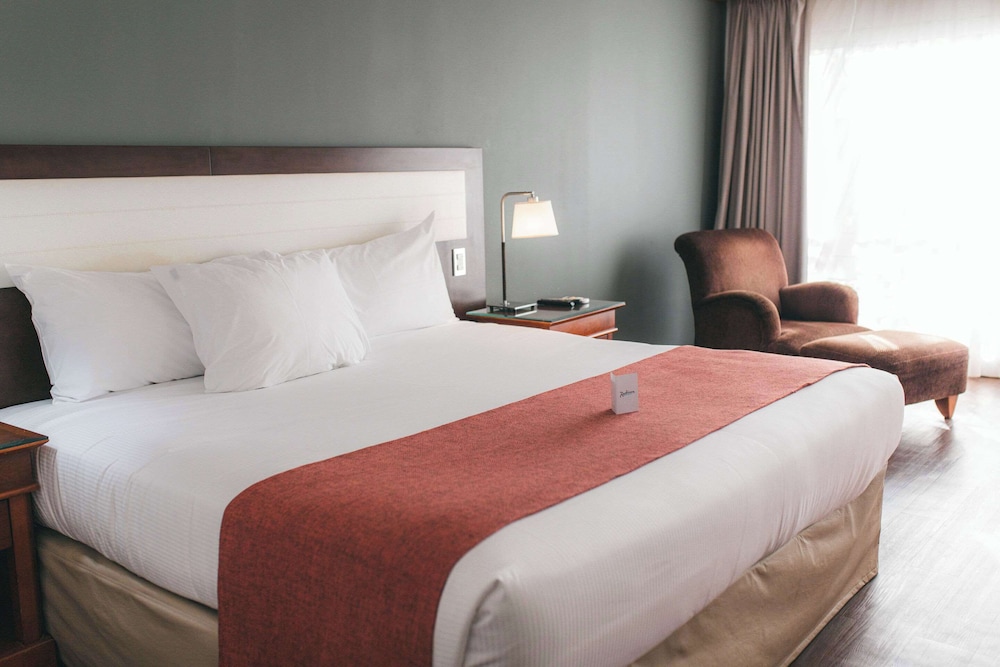 Room, 1 King Bed, Non Smoking photo 2