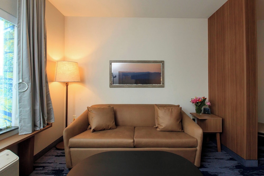 Suite, 1 King Bed with Sofa bed photo 1