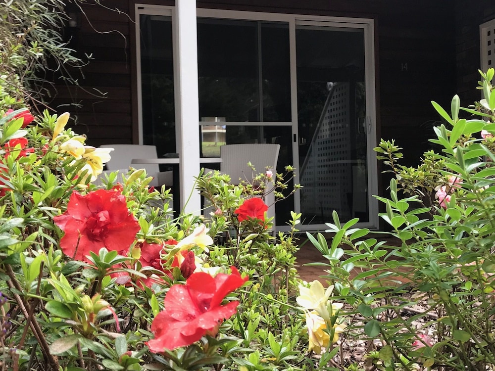 Deluxe Studio Suite, Jetted Tub, Garden View photo 3