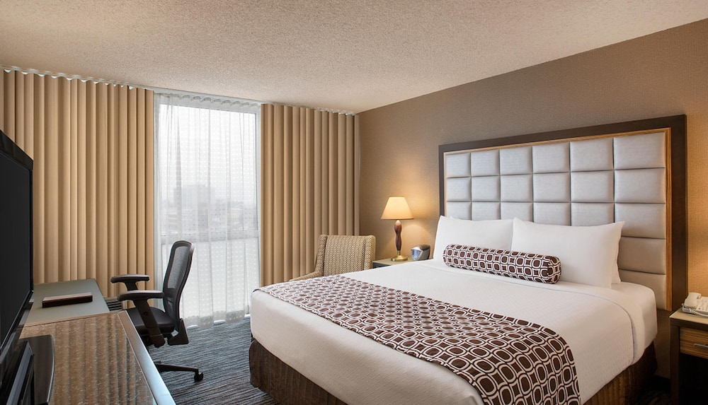 Standard Room, 1 King Bed, Refrigerator - Photo 7