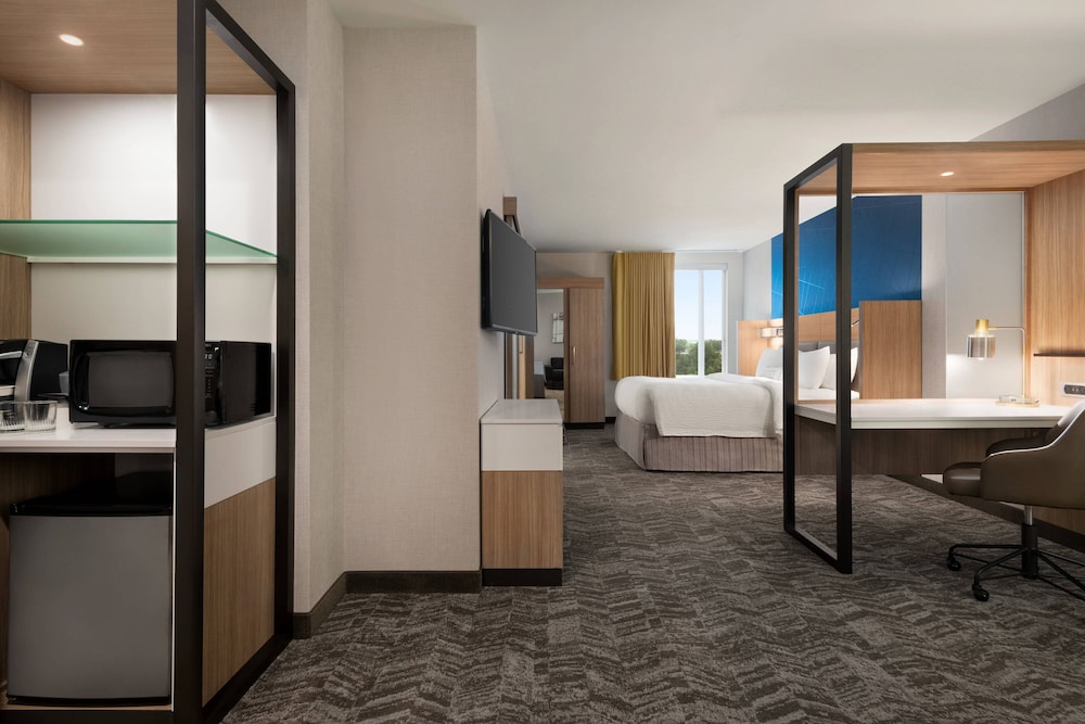 Suite, 1 King Bed with Sofa bed, City View photo 2