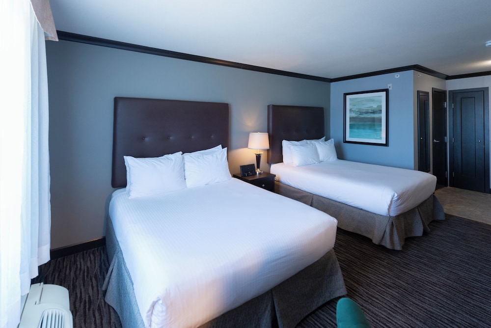 Deluxe Room, 2 Queen Beds, Pets Allowed