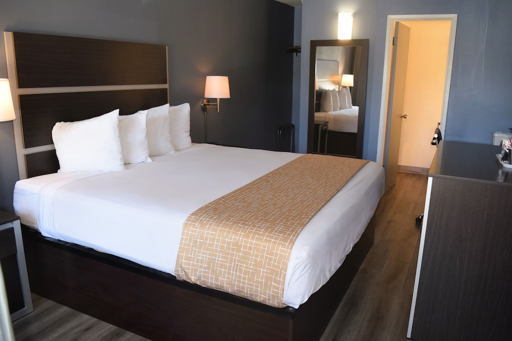 Superior Single Room photo 3