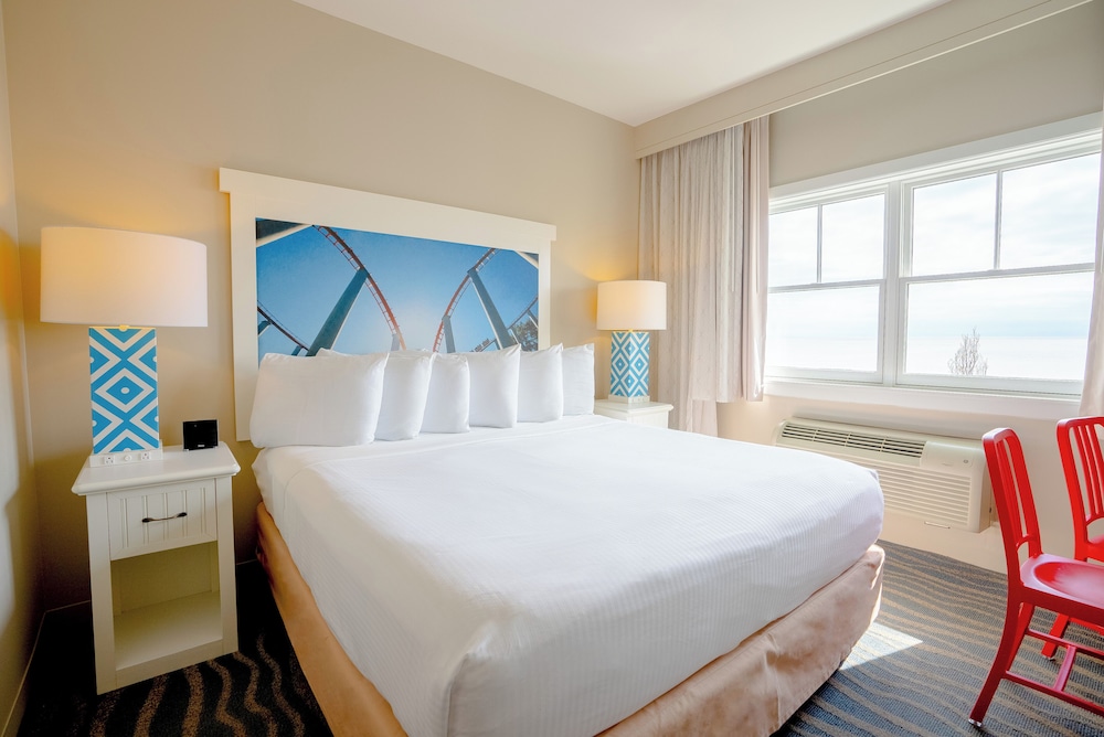 Basic Room, 1 King Bed