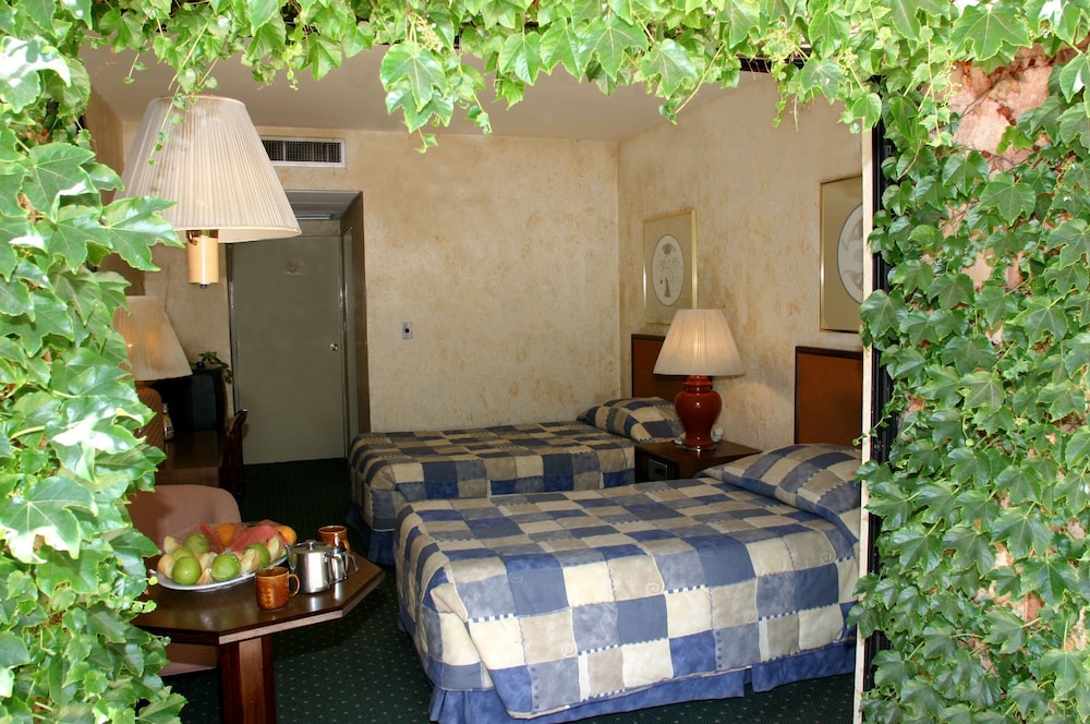 Standard Double or Twin Room - Photo 13