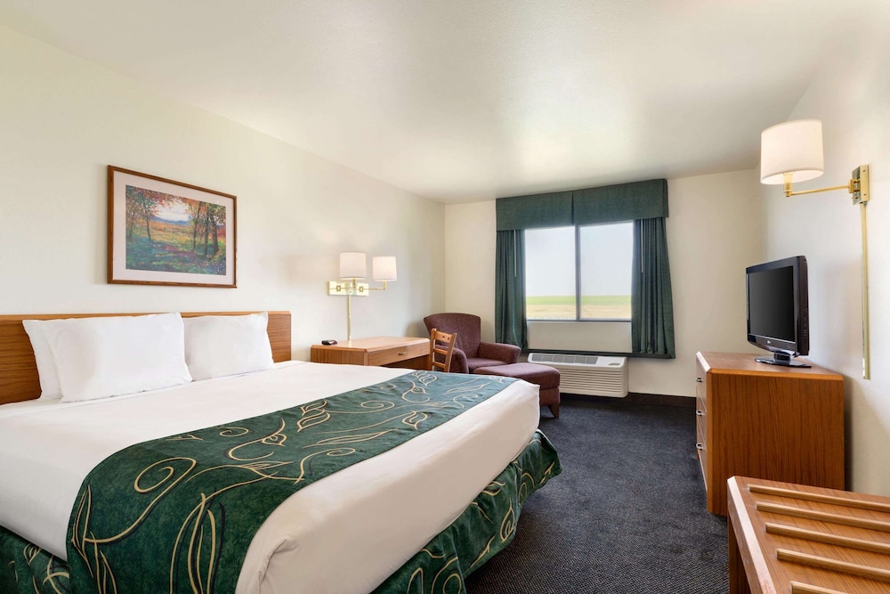 Room, 1 King Bed, Non Smoking - Photo 1