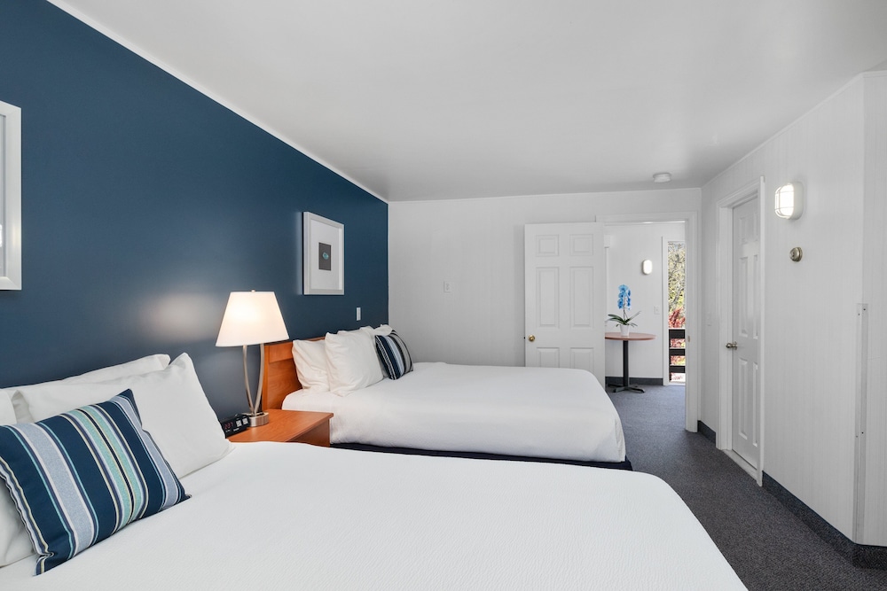 Junior Suite, 1 Bedroom, Refrigerator & Microwave photo 2