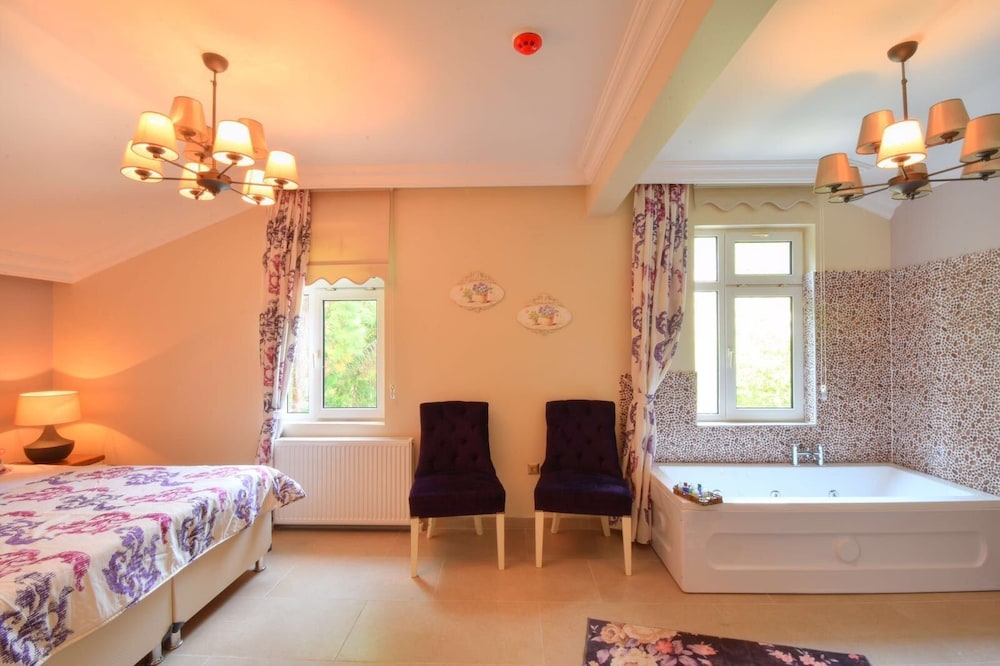Double Room, Fireplace photo 3