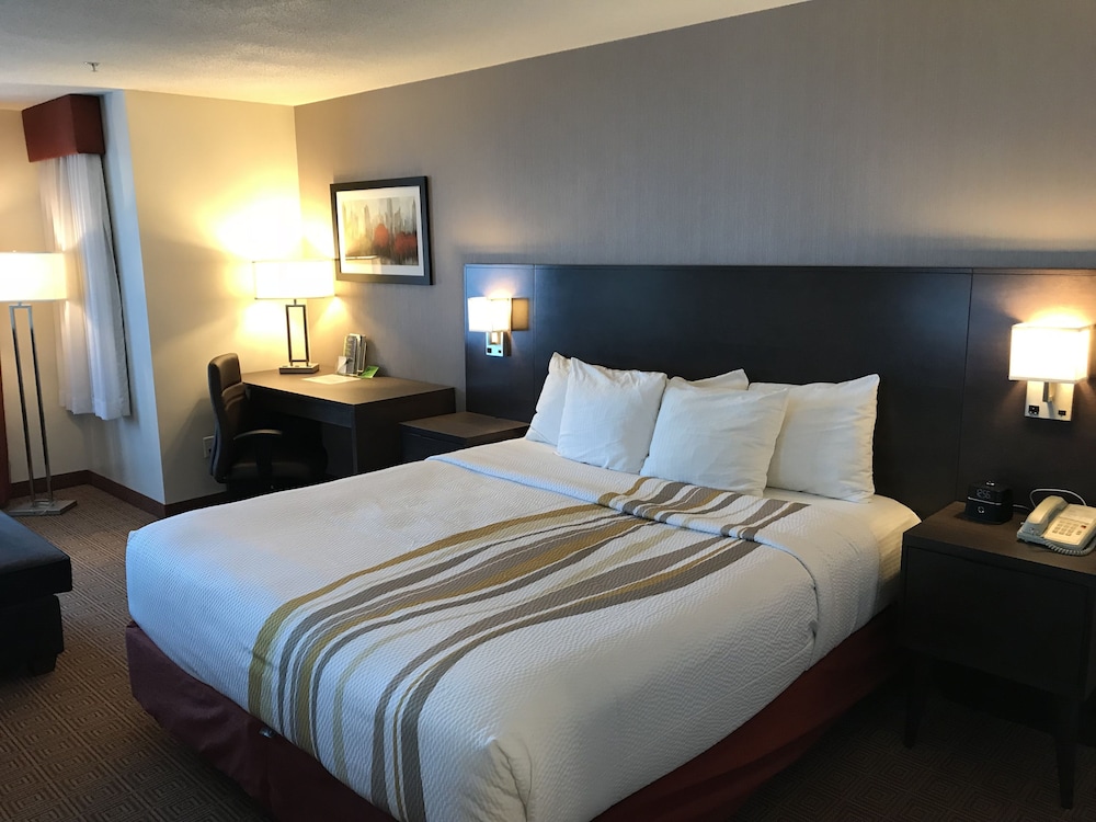 Deluxe Room, 1 King Bed, Non Smoking, Mountain View (Deluxe Executive Room) - Photo 5