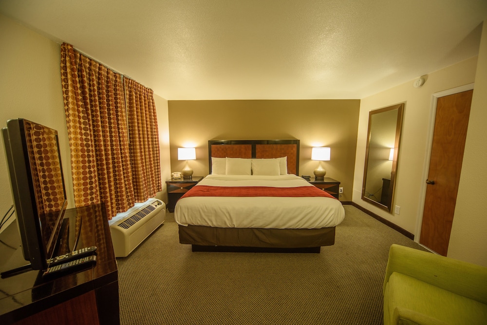 Premium Room, 1 King Bed photo 1