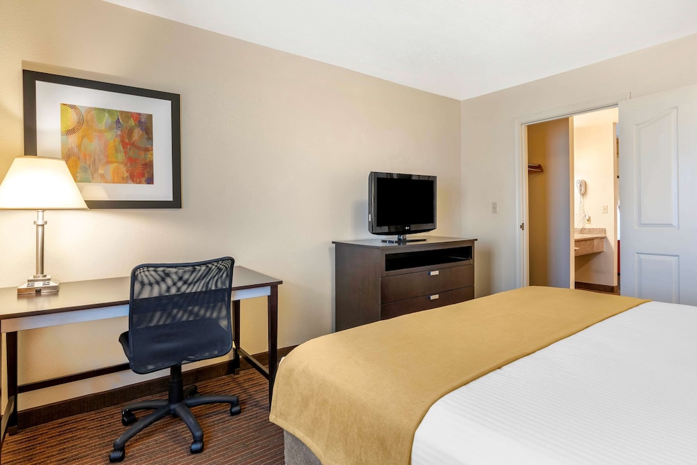 Suite, 1 King Bed, Non Smoking, Balcony (with Sofabed) - Photo 5
