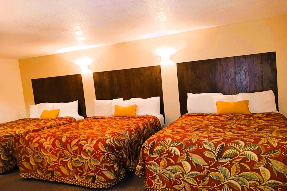 Room, Multiple Beds photo 1
