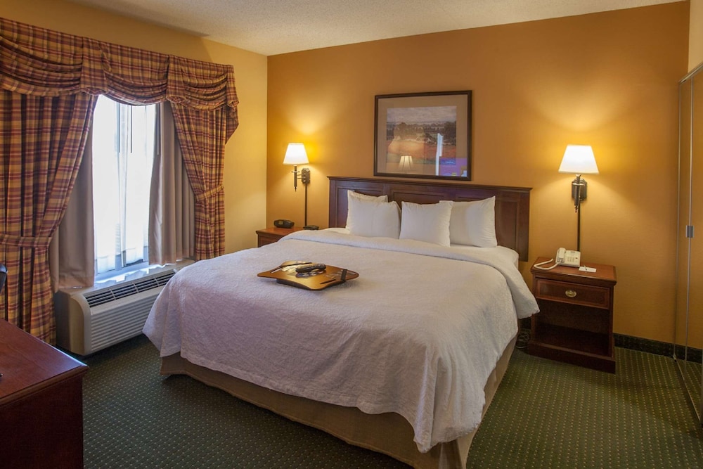 Suite, One King Bed, with Jetted Tub photo 3
