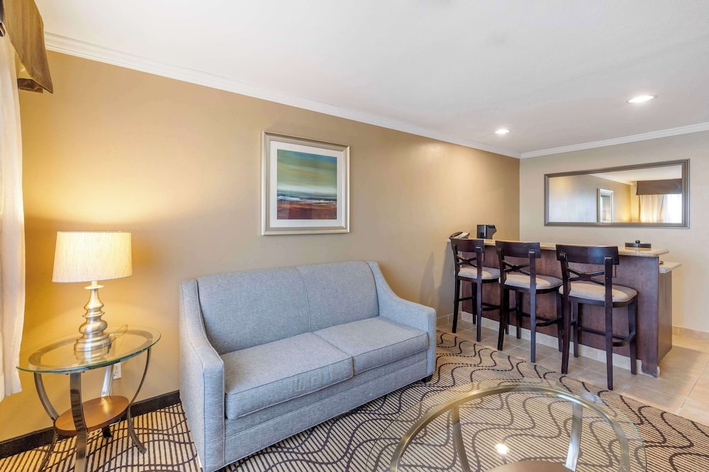 Suite, 1 King Bed, Non Smoking, Jetted Tub - Photo 6