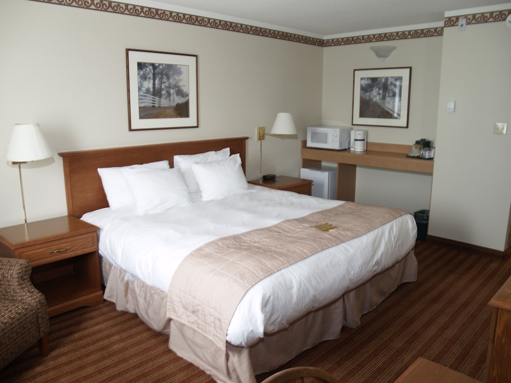 Traditional Single Room, 1 King Bed photo 1