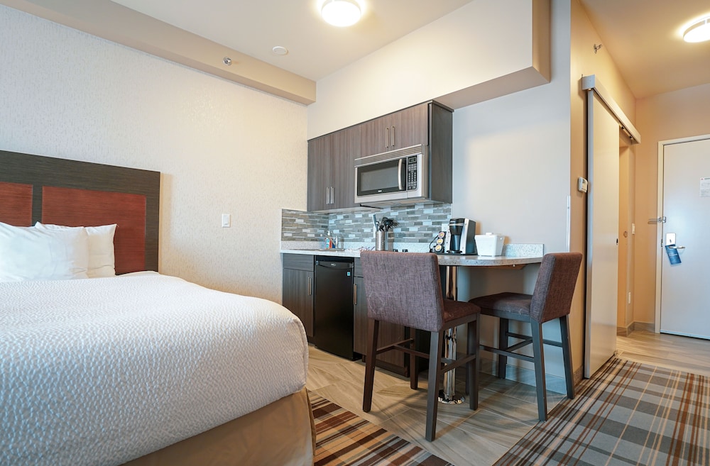 Suite, 1 King Bed