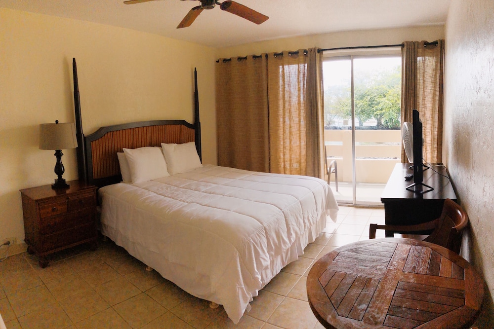 Studio, 1 King Bed, Bay View photo 3