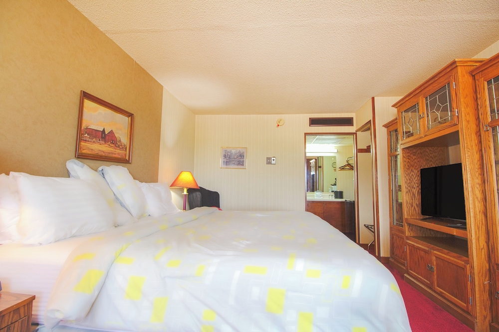 Suite, 1 King Bed - Photo 4