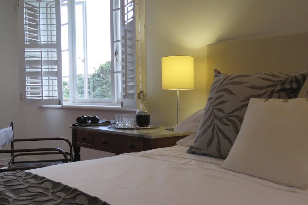 Safari Room photo 1