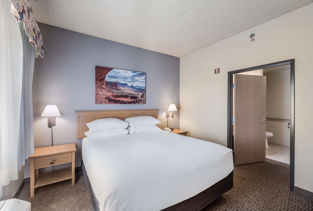 Suite, 1 King Bed - Photo 1