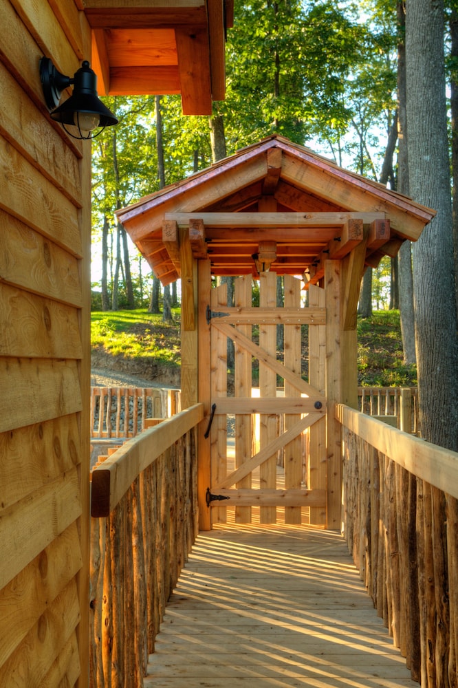 Tree House, 1 King Bed (Barn Owl, Adults Only) photo 2