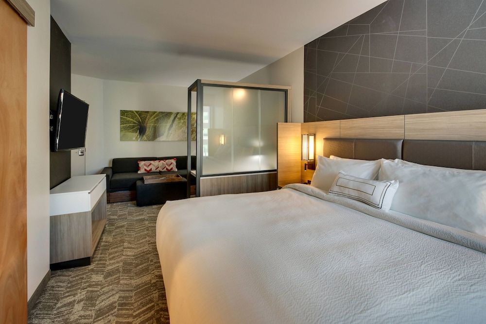 Suite, 1 King Bed with Sofa bed - Photo 6
