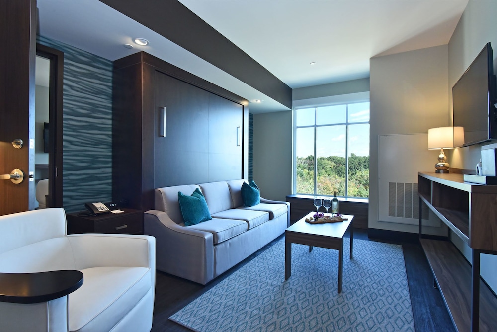 Deluxe Room – Convertible Murphy King Bed photo 3